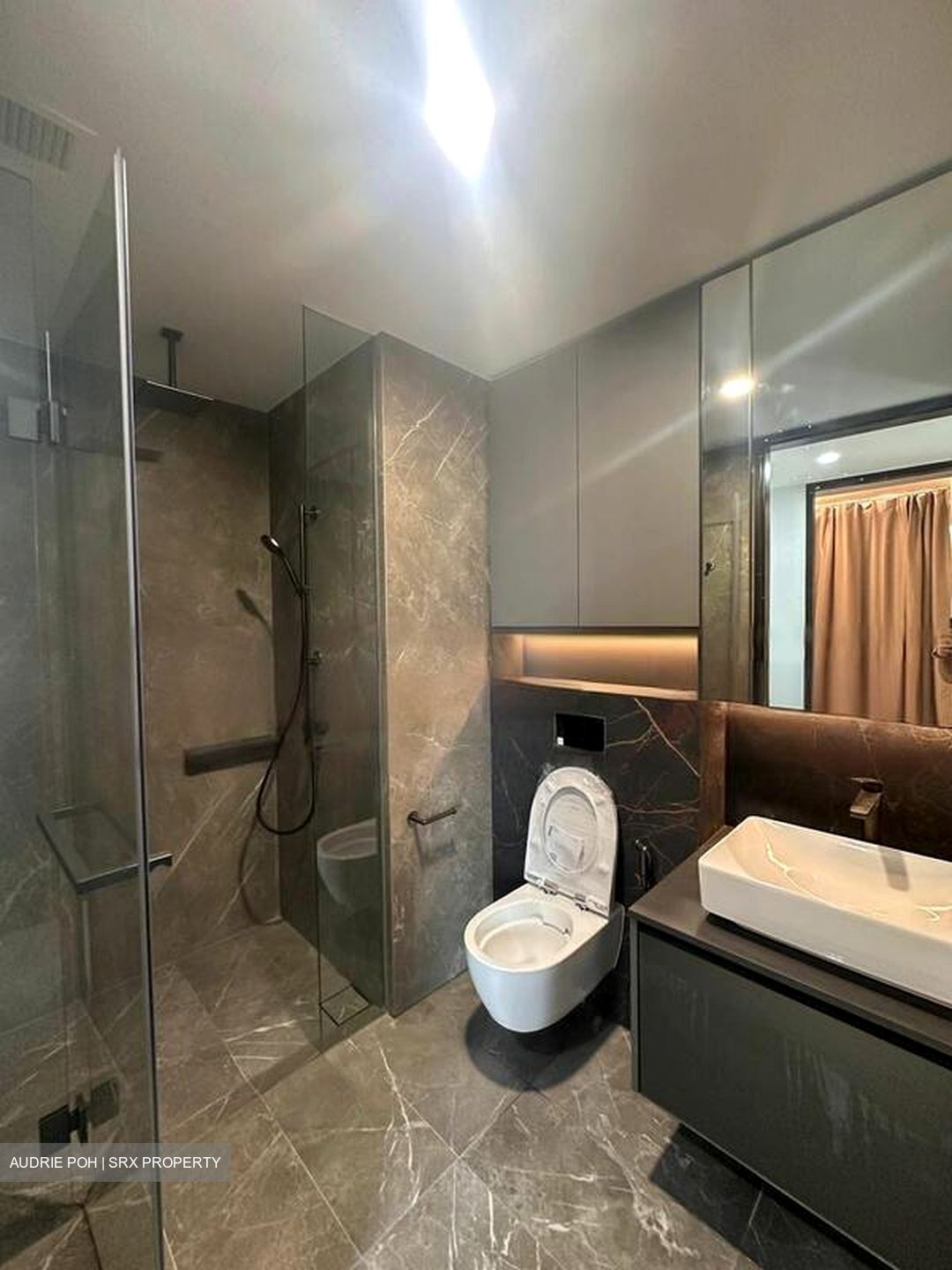 Irwell Hill Residences (D9), Apartment #457632321